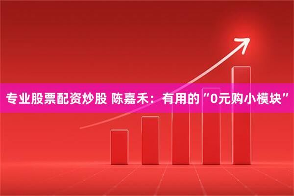 专业股票配资炒股 陈嘉禾：有用的“0元购小模块”
